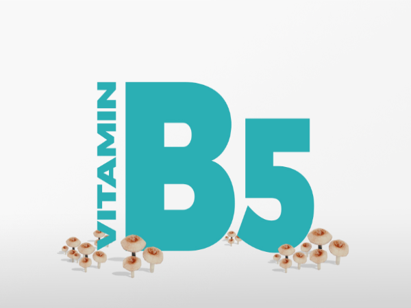 vitamin b5 la gi